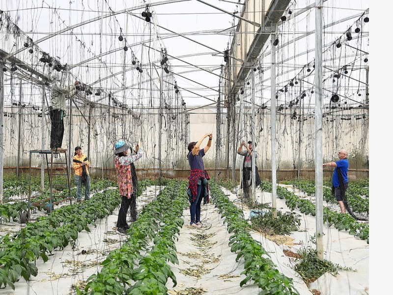 温室大棚骨架热镀锌工艺,防锈耐用二十年