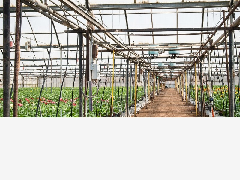 植物工厂研学基地,农业科普新地标