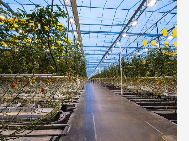温室大棚智能化卷帘,一键控制省时省力