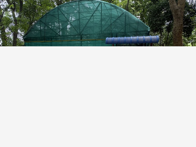 温室防虫网更新换代,物理防虫更环保