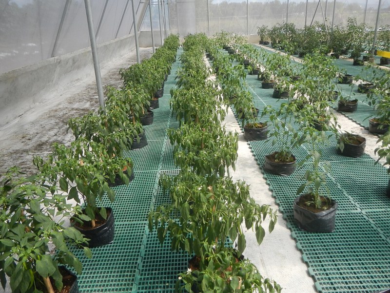 水肥一体化丘陵推广,山地果园抗旱增产