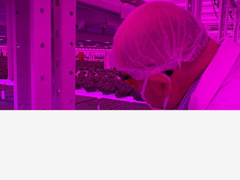 水肥一体化智慧决策,配方施肥按需供应