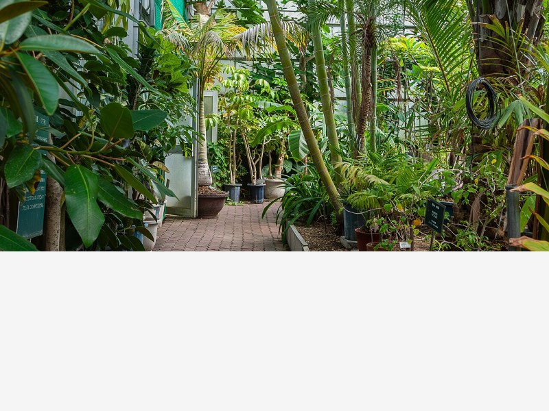 大型连栋温室建设提速,规模化经营成趋势