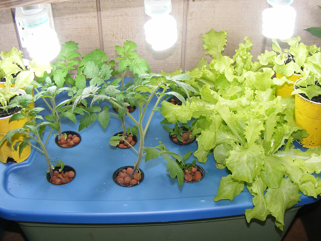 气雾培种植系统