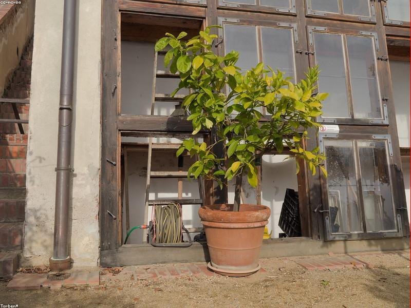 北京水培叶菜产线项目实现满产