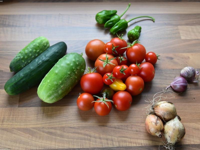 张柱分别会见越南农业与环境部部长和新西兰生物安全、食品安...