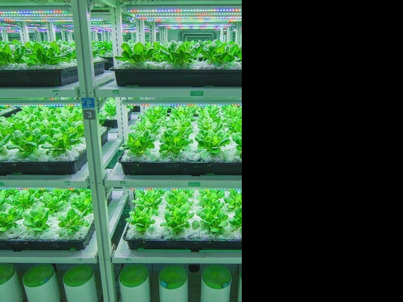 张柱分别会见东帝汶副总理、社会事...